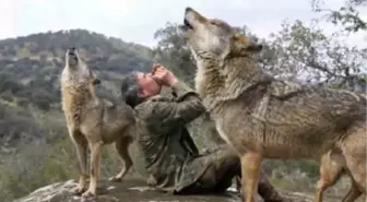 Çocukken Ailesini Kaybeden Adamı 19 Yaşına Kadar Kurtlar Yetiştirdi