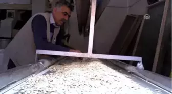 Nevşehir Kabak Çekirdeğine Coğrafi İşaret