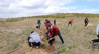 Sorgun'da Afrin Şehitleri İçin Fidan Dikildi