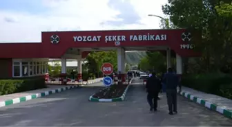 Çorum Şeker Fabrikasını Safi, Yozgat Şeker Fabrikasını Doğuş Aldı