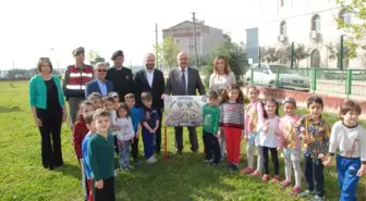 Zeytin Dalı Harekatı'nda Şehit Olan Askerler İçin Zeytin Fidanı Diktiler