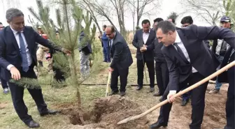 Ahlat'ta Şehitler İçin Fidan Dikildi