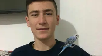Okul Yolunda Ölüm
