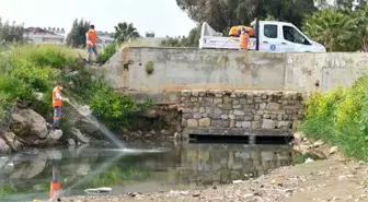 Mersin'de Haşere ile Mücadele Çalışmaları Sürüyor