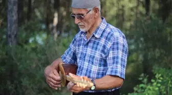 Yarım Asırdır Ahşabı Sanata Dönüştürüyor