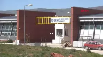 Tokat Taziye Evine Gitti, Daha Sonra Kendi Şirketini Kurdu