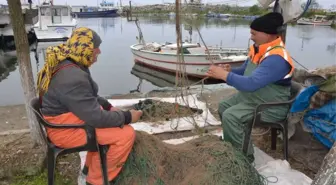 Balıkçılar Bu Sezon Hamside Umduğunu Bulamadı