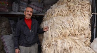 Yüncülerin Sezondan Beklentisi Büyük