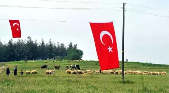 Sumbas'ta Mera Açılışı