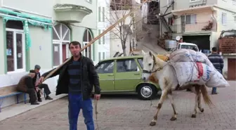 Akaryakıt Zamlarından Sonra At ve Eşekler Yeniden Kıymete Bindi