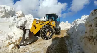 Trabzon'da Yayla Yolları Ulaşıma Açılıyor