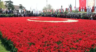 Dünyanın En Büyük Türk Bayrağı Temalı Lale Peyzajı Rekorlar Kitabı'na Girdi