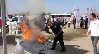 Festival İçin Pişirilmeye Çalışılan 200 Kiloluk Dana Alev Alev Yandı