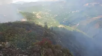 Giresun'da Örtü Yangını