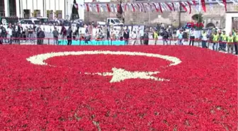 Kayseri-Büyükşehir Lalelerle Türk Bayrağı Rekoru Kırdı