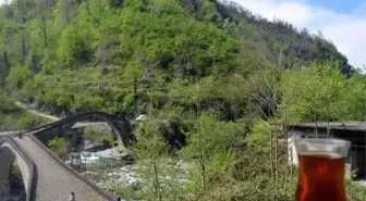 Türkiye'nin Havası En Temiz İli Artvin Oldu