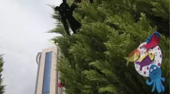 Üniversiteli Öğrencilerden Geri Dönüşüme Farkındalık İçin 'dönerse Senindir' Projesi