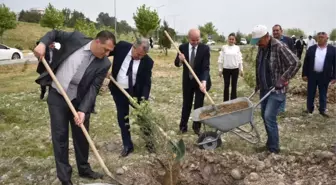 Mcbü Muradiye Yerleşkesi Yunusemre ile Ağaçlandırıldı