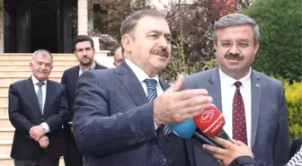 Bakan Eroğlu, 'Baskın Seçim Değil Erken Seçim'