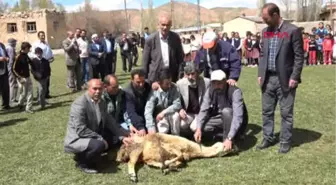 Sivas İlkokul Öğrencileriyle Yağmur Duasına Çıktılar