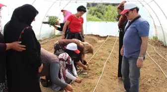 Toprak İşleme Mesleki Eğitim Kursu' Devam Ediyor