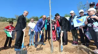 23 Nisan Etkinliklerinde Dünya Yetimleri Fidan Dikti