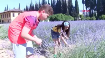 Antalya-Çocuklarda Erken Ergenlikte 'Lavanta' Etkisi-Hd