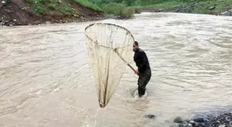 Habur Çayında Tehlikeli Balık Avı