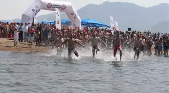 Dalyan'da Sporcular Carettalarla Yüzdü