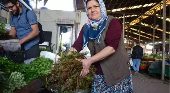 Melocan Tezgahlarda
