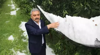 Karaman'da Dolu Elma Ağaçları ve Ekili Alanlara Zarar Verdi