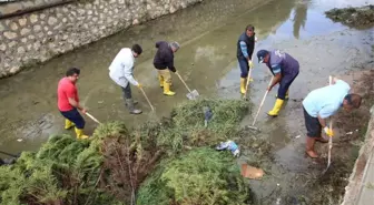 Erdemli'de Sazlık ve Çamurla Dolan Kanallar Temizleniyor