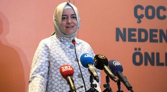 Çocuk İstismarının Nedenleri ve Koruyucu Önlemler Çalıştayı