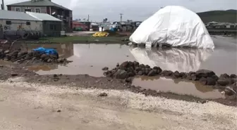 Dağpınar'da Yağmur Etkili Oldu