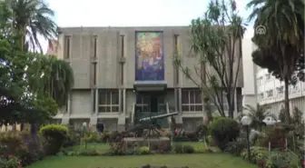 Etiyopya'nın Milyonlarca Yıllık Fosilleri Lucy, Ardi ve Selam - Addis