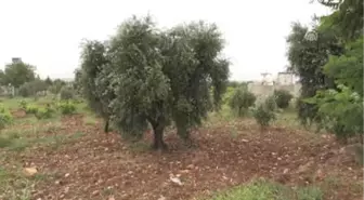 Kaybolan Alzaymır Hastası Yaşlı Kadın Bulundu