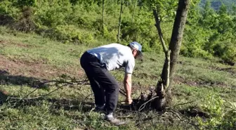 Muhtar Tek Başına Mahallenin Meralarını Islah Etti