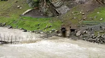 Zap Suyu Taştı, Çoban ve Keçiler Mahsur Kaldı