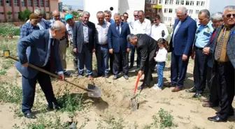 Afrin Şehitleri Anısına Zeytin Fidanı Dikildi