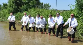 Bafra Ovası'nda Çeltik Tohumları Suyla Buluştu