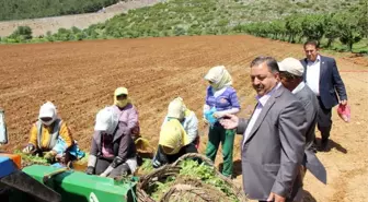 Baştuğ'dan Çiftçiler Günü Mesajı