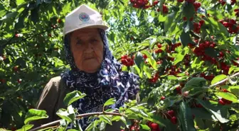 Çiftçinin Beklentisi Mazot ve Gübre Fiyatlarının Düşmesi