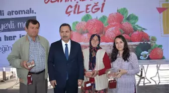 Kdz. Ereğli'de En Güzel Osmanlı Çileği ve Pastası Seçildi