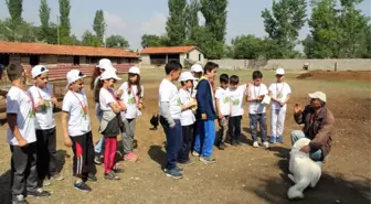 İlkokul Öğrencilerine 'Lider Çocuk Tarım Kampı' Eğitimi