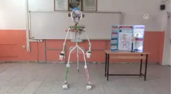 Öğrencilerden 'Akılda Kalan' İnsan İskeleti