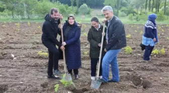 Gürsu'da İpek Böceği Yetiştirilecek