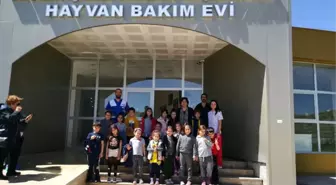 Minikler Sevimli Dostlarını Ziyaret Etti