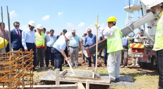 Bölgenin Damızlık Hayvanları Seyitgazi'de Yetişecek