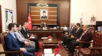 Vali Araya Girdi, Tavuk Üretimi Yeniden Başladı