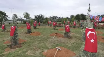 Afrin Şehitleri İçin Trabzon'da Hatıra Ormanı Oluşturuldu